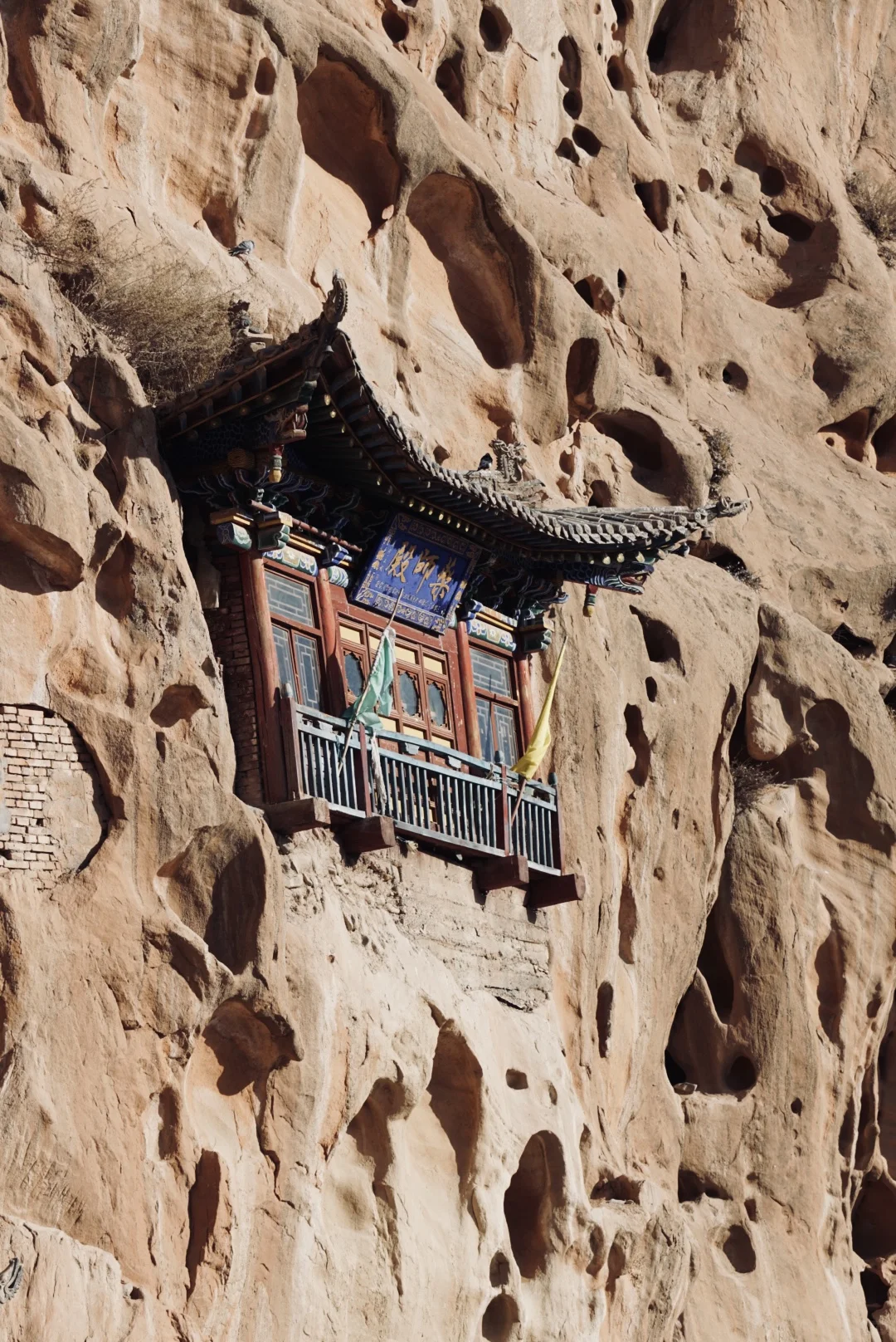 春节反向旅行首推河西走廊！体验不要太好