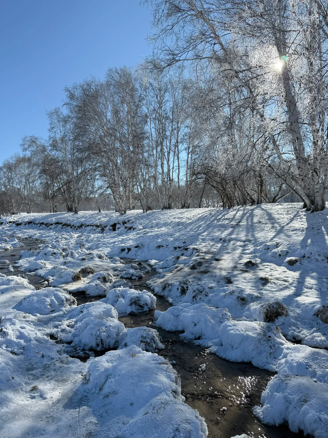 ❄️来之前也没人说冬天乌兰布统是这样的呀…