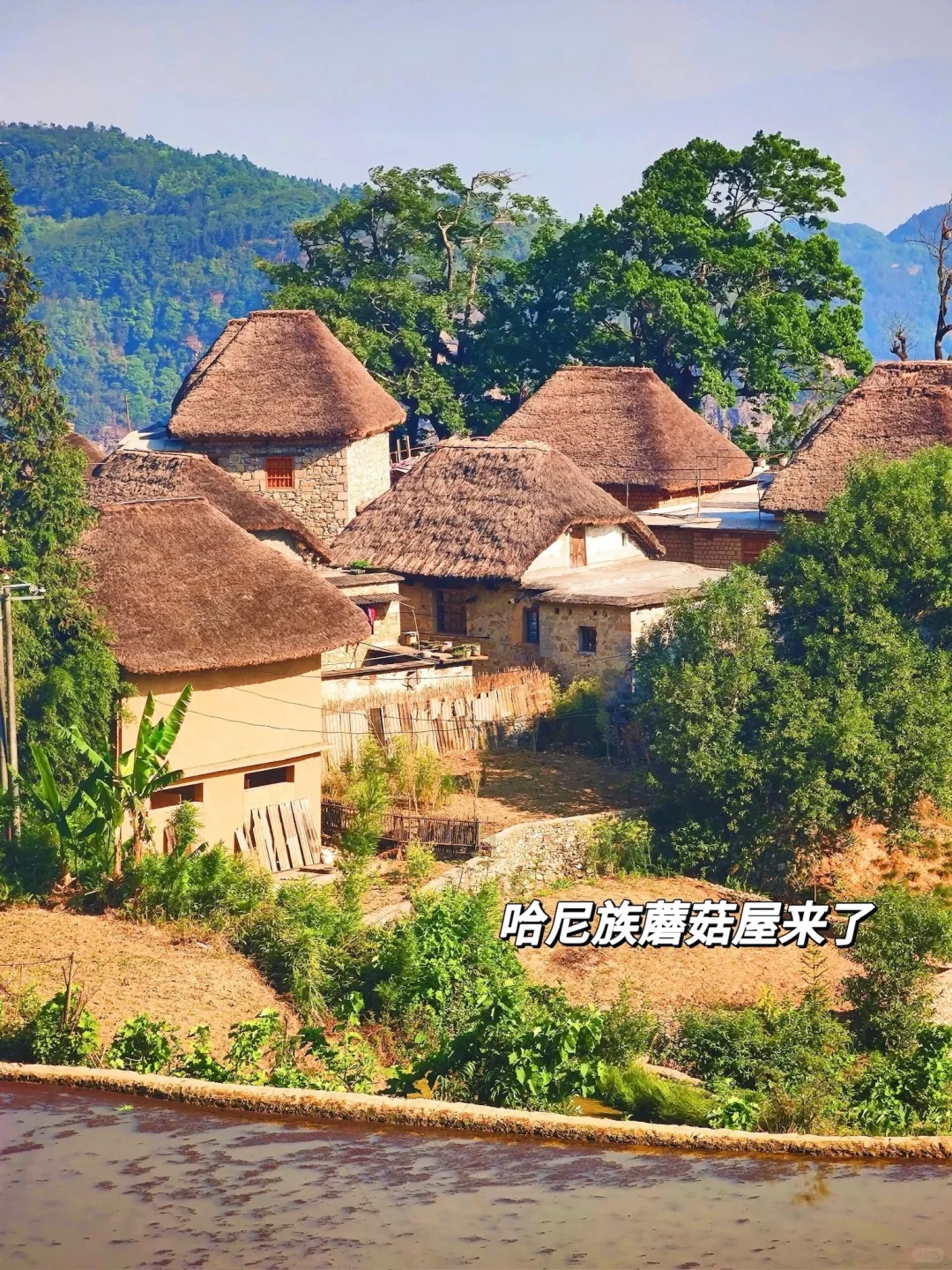 春节一定要冲21°C 的滇东南！反向旅游天花板