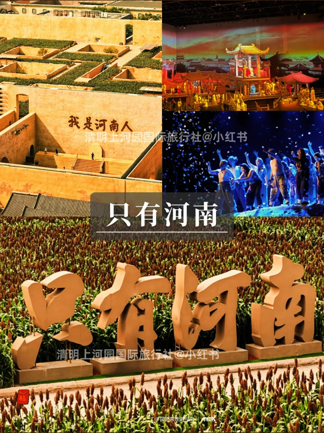 🤬洛阳现状...去洛阳旅游千万别当大冤种了