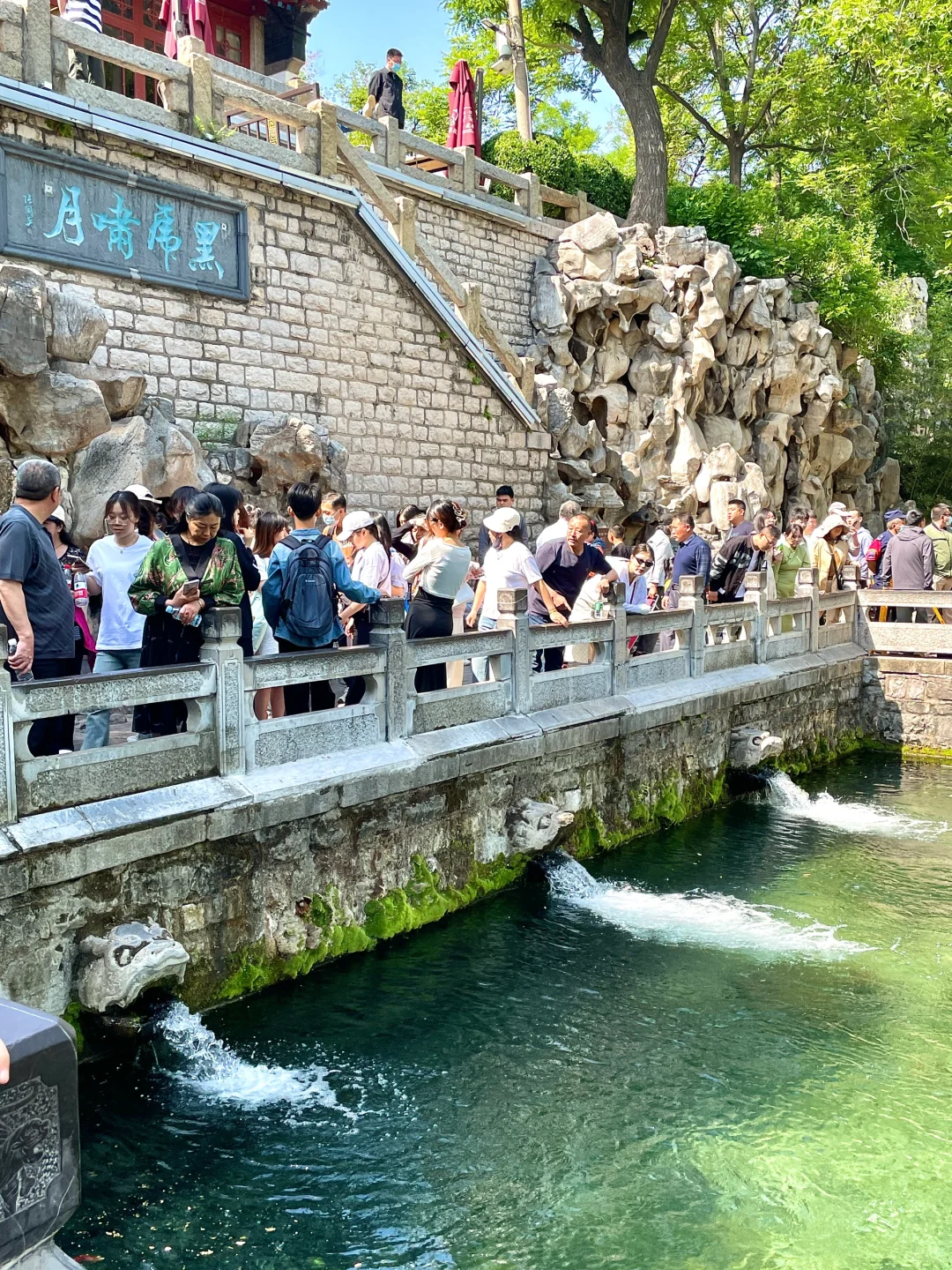 济南春节反向旅游攻略！（省腿巴士🚌版….）