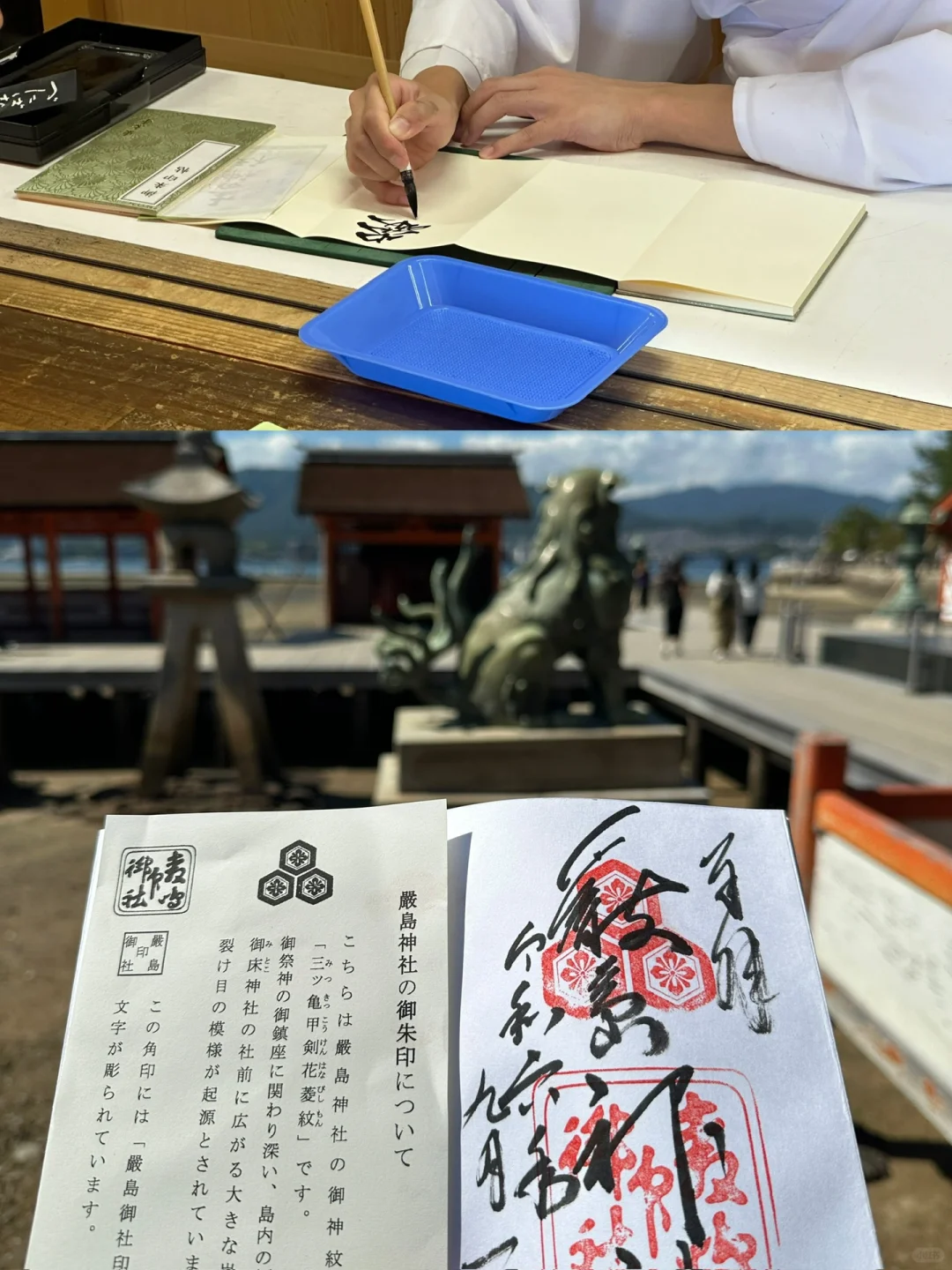 严岛神社和广岛平和纪念公园🦌