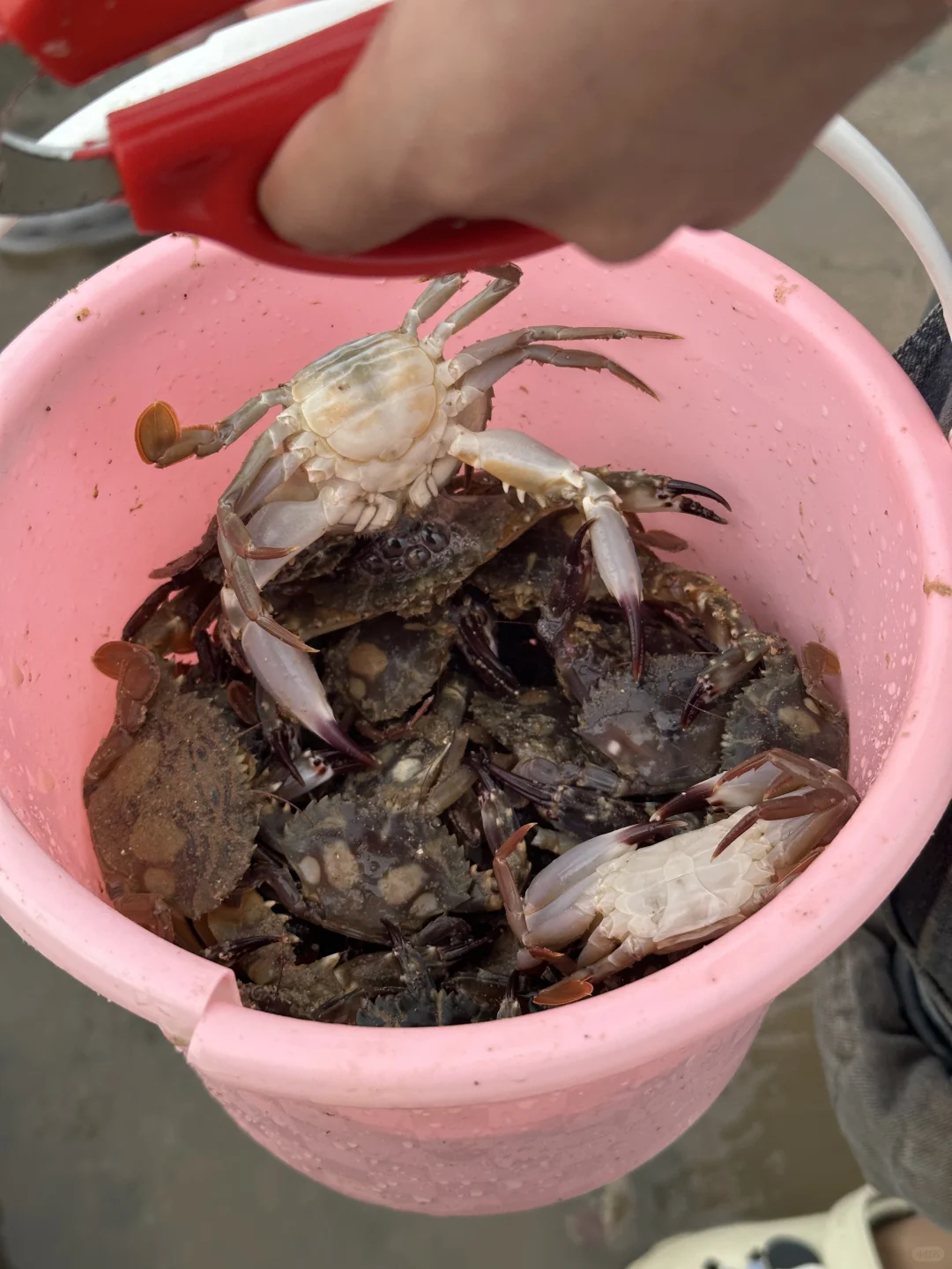 姐妹们！亲测平潭真是江浙沪海鲜后花园啊😭