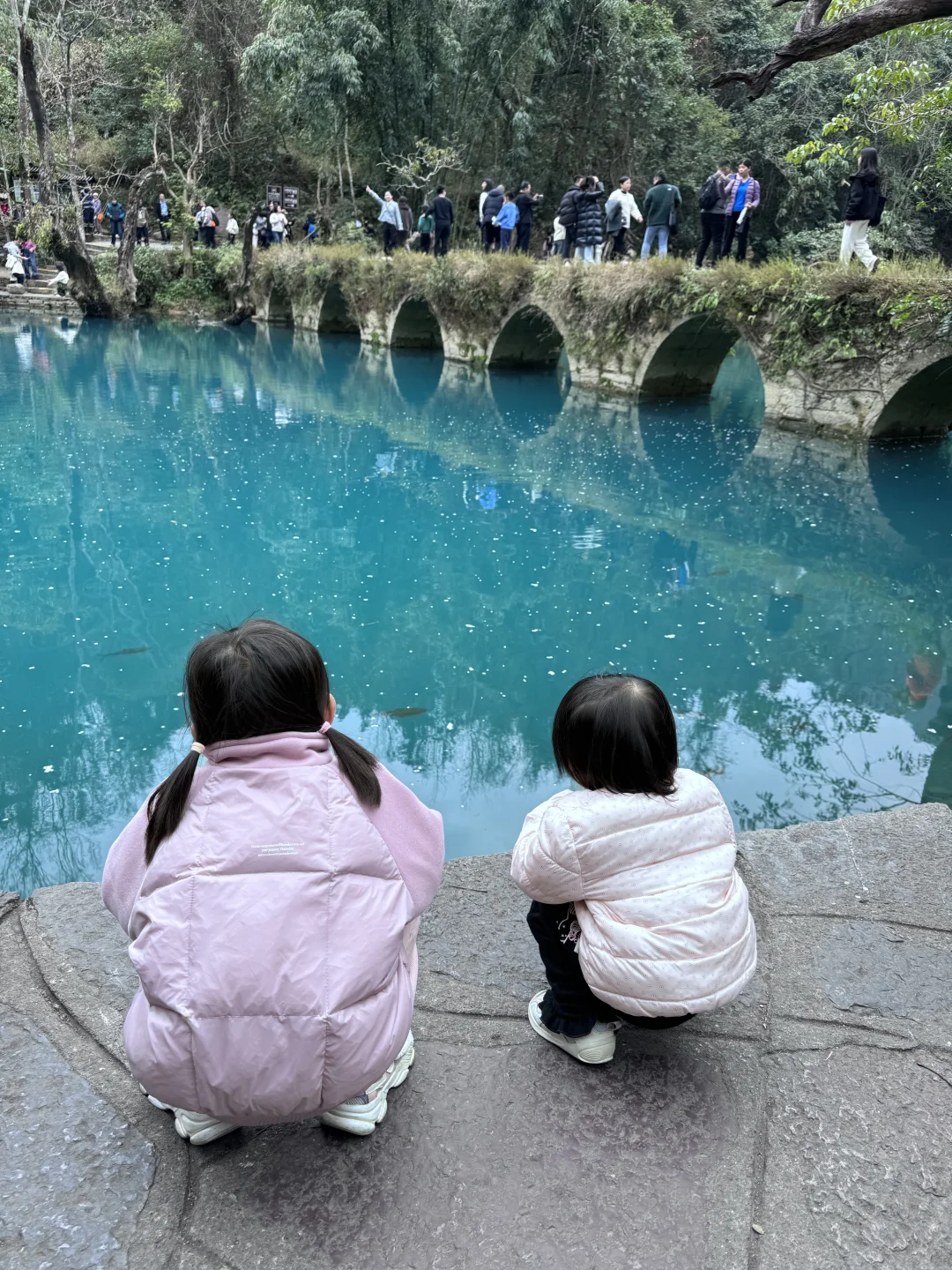 20250131的荔波小七孔实况