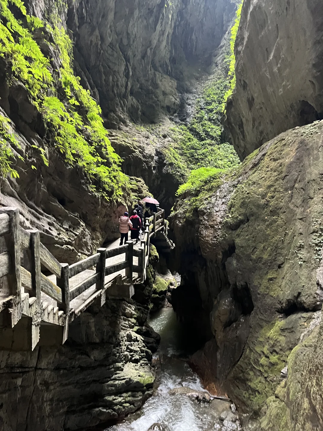 武隆天坑➕地缝旅游攻略，顺路去了乌江画廊