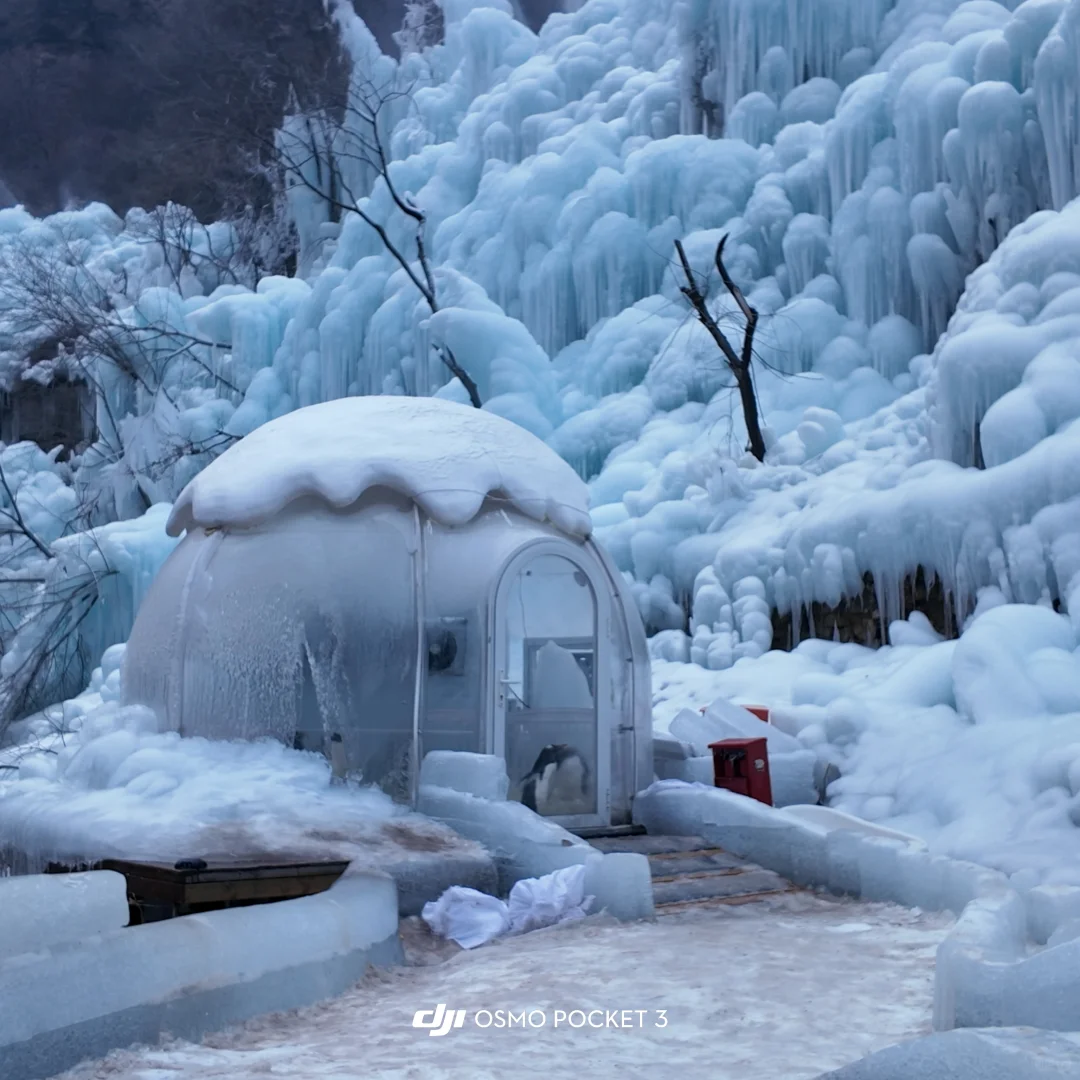 新年旅游第一站——勇闯云台山