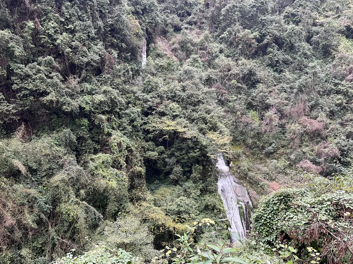 武隆天坑➕地缝旅游攻略，顺路去了乌江画廊