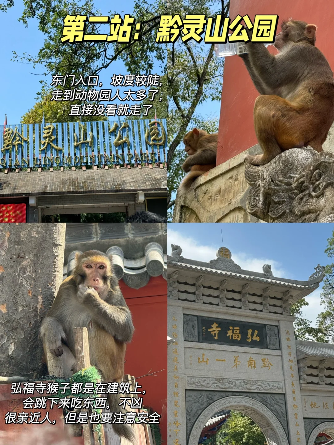 南宁到贵阳国庆2天1夜📍人均800‼️懒人版