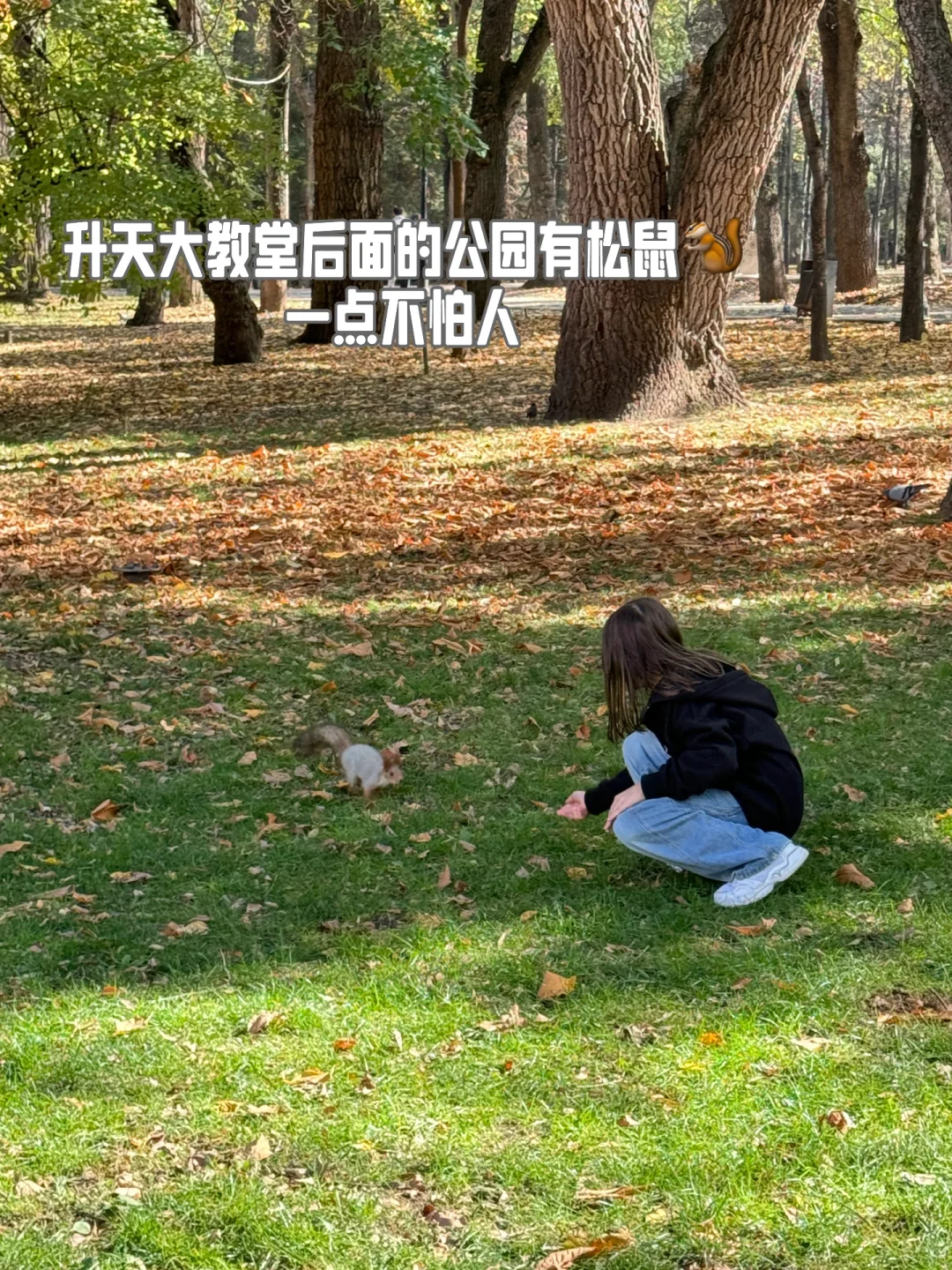 💰1679，玩了中亚两个国家九天八晚