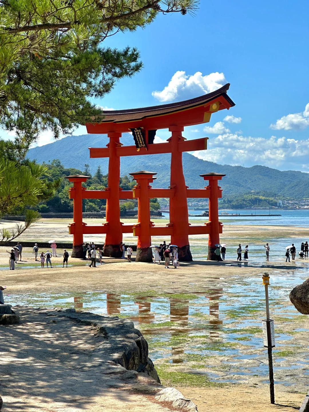 严岛神社和广岛平和纪念公园🦌