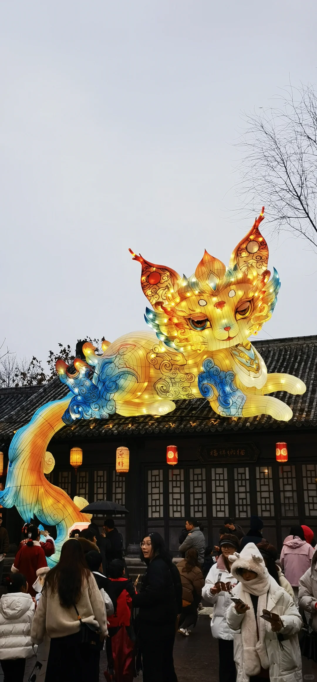 夜赏灯会 美轮美奂