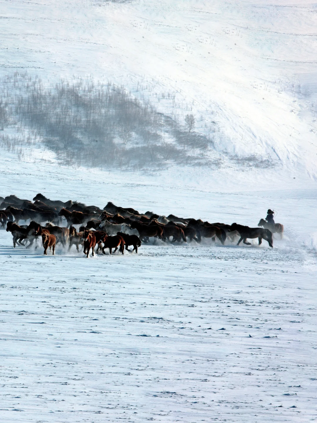 反向旅行❄️冬日赤峰美成磅礴中国画！