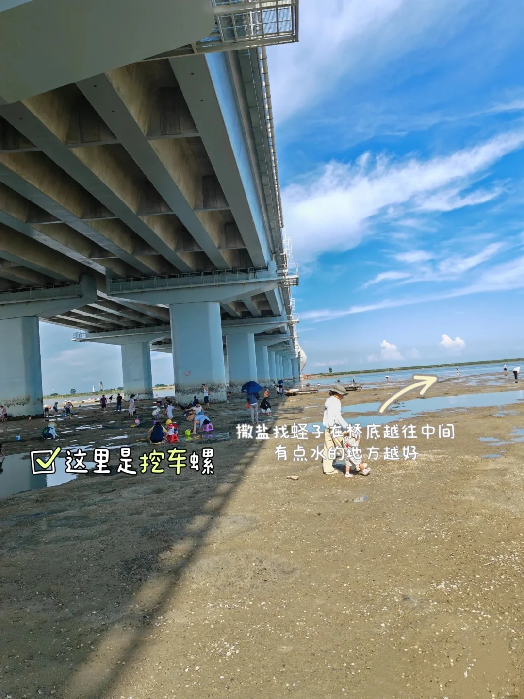 在北海｜土著推荐👏不用向导的赶海地‼️