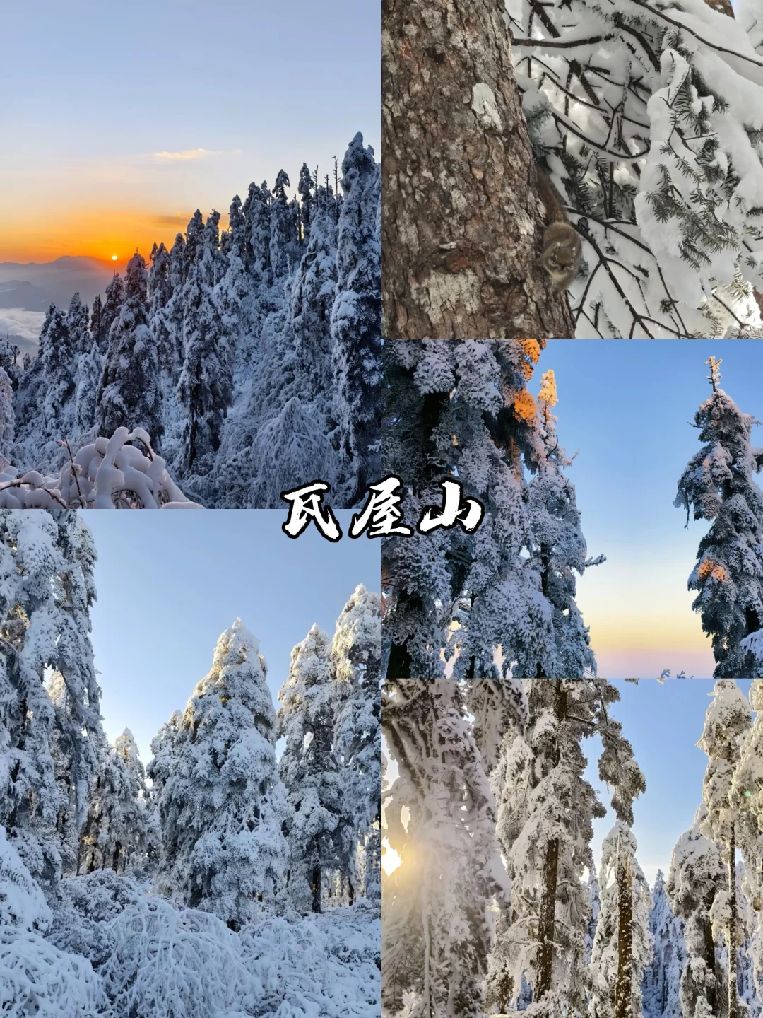 🔥强烈推荐！四川赏雪好去处😍抄作业啦