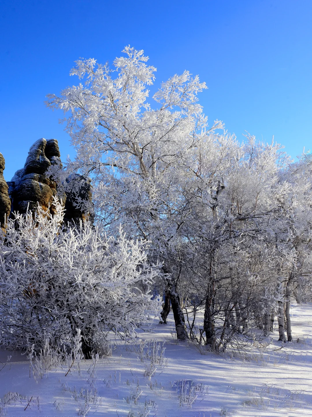 反向旅行❄️冬日赤峰美成磅礴中国画！