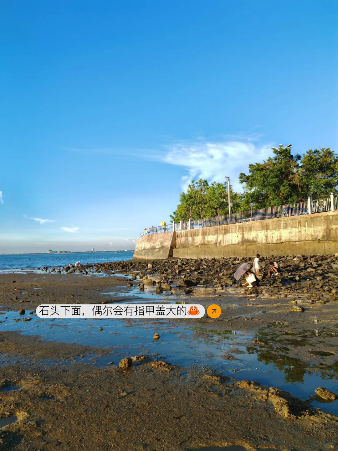 在北海｜土著推荐👏不用向导的赶海地‼️