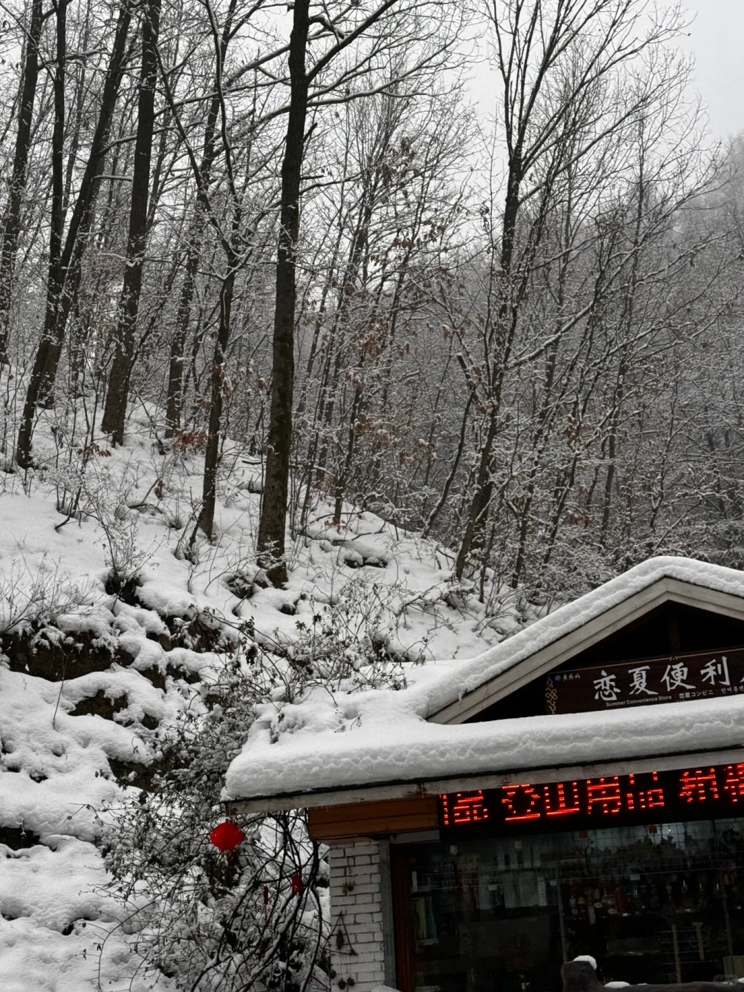 2月1号已到老君山景区，随便问🙋实时更新版