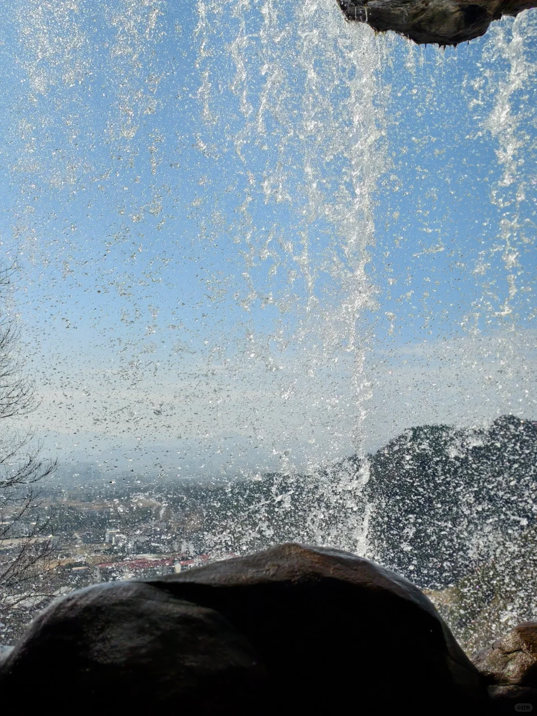 听网友的反着走真的太对了👍