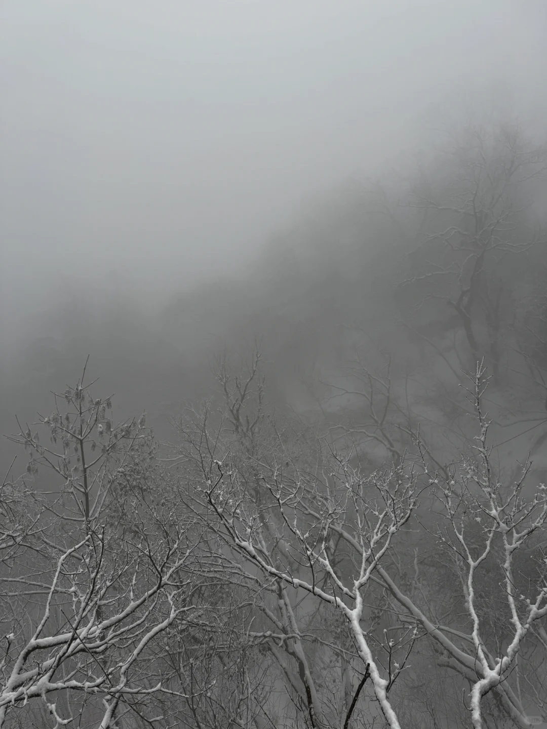 2月1号已到老君山景区，随便问🙋实时更新版