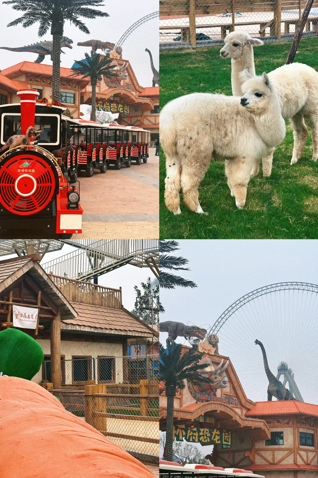 📍焦作｜过年免费出游合集🧧