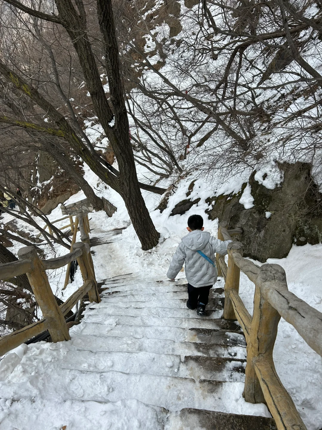初二 嵩山少室山