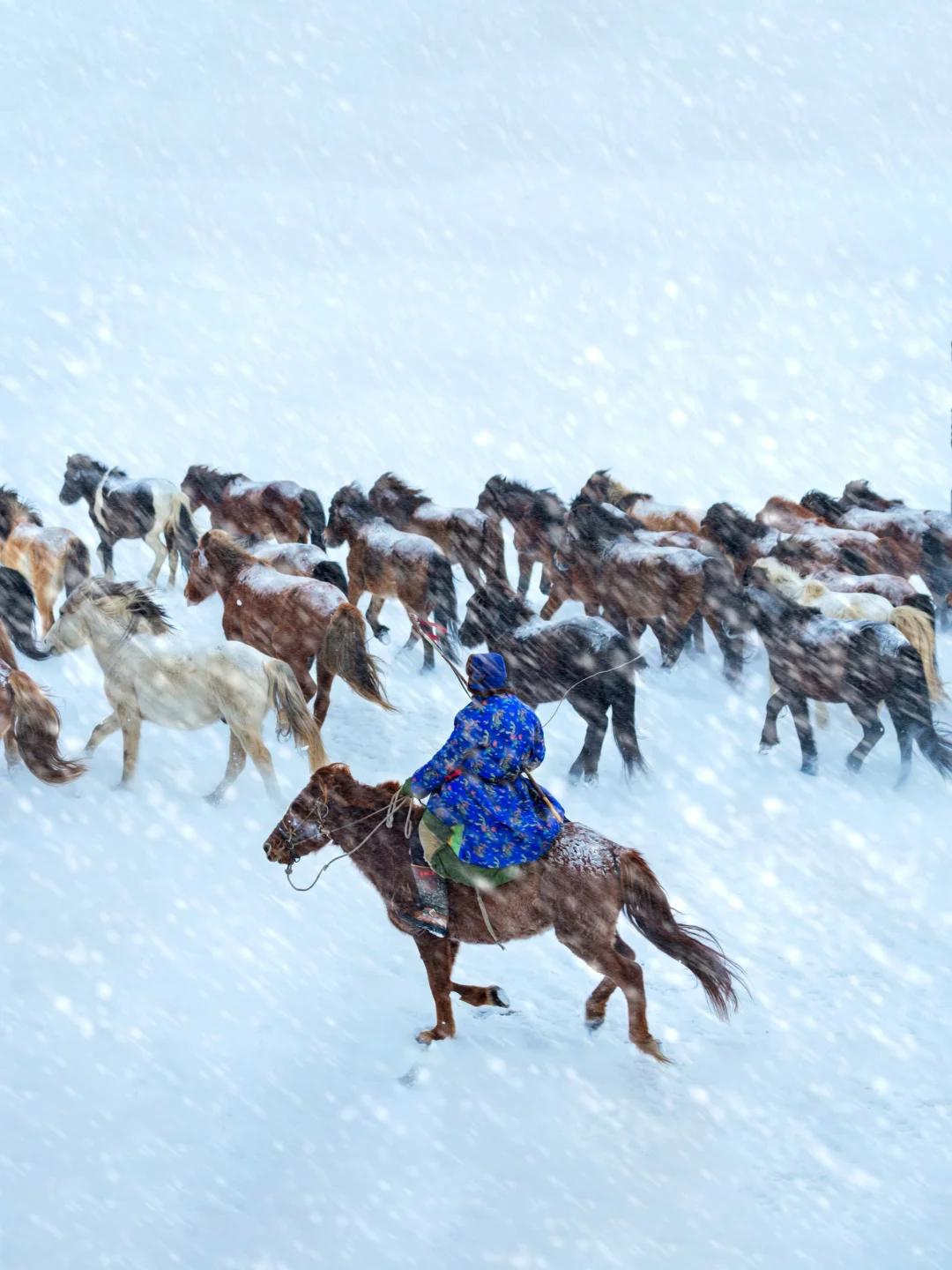反向旅行❄️冬日赤峰美成磅礴中国画！