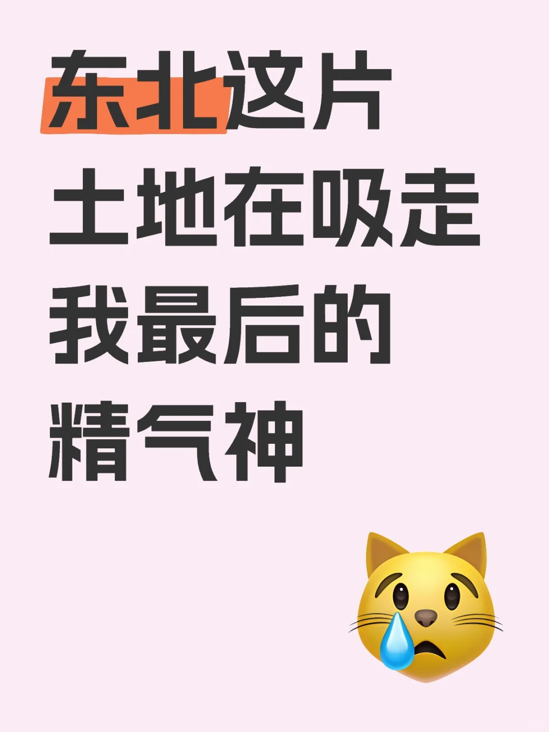 东北小镇简直是我的负能量深渊