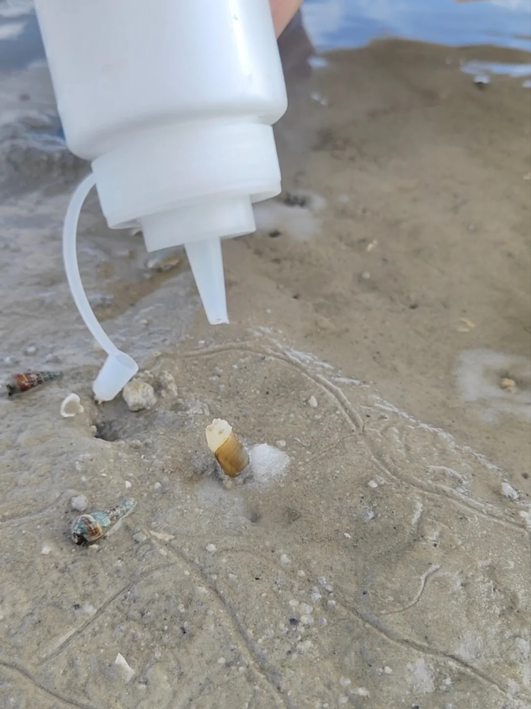 在北海｜土著推荐👏不用向导的赶海地‼️