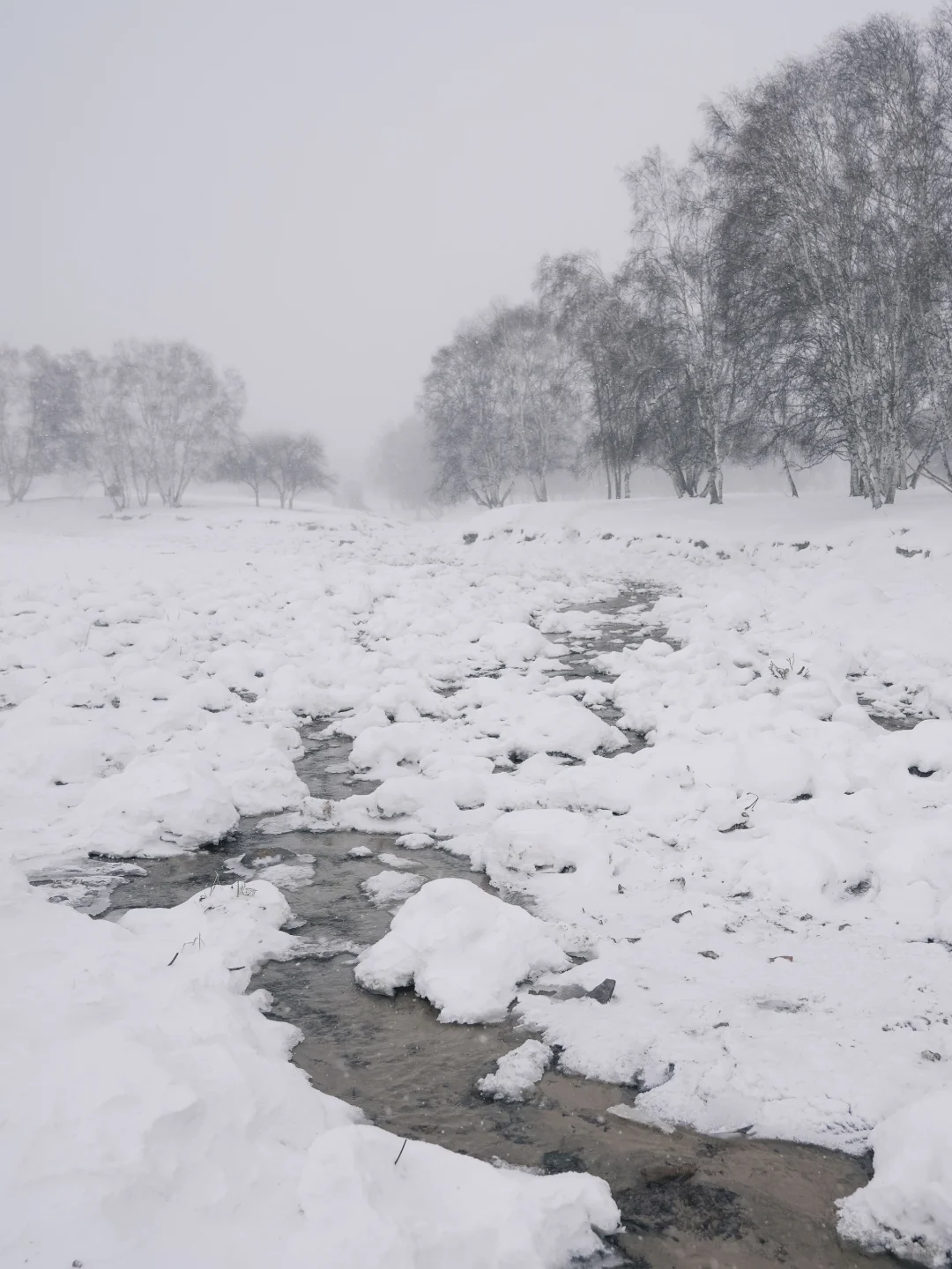 反向旅行❄️冬日赤峰美成磅礴中国画！