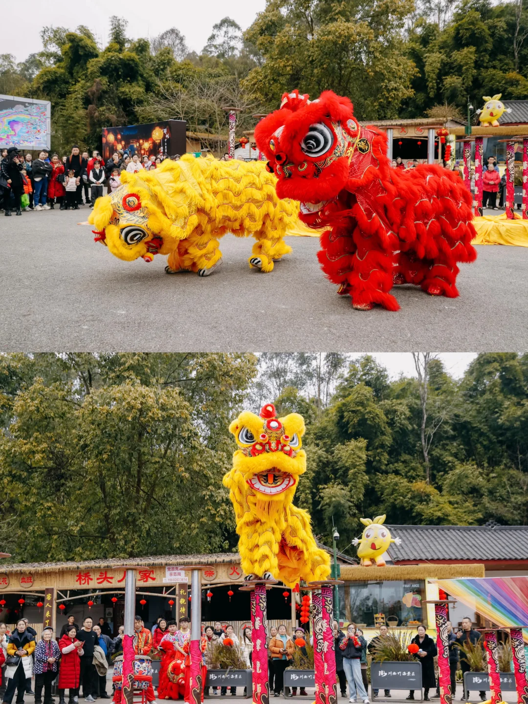成都周边游古镇竹海❕过最有中国味的年🧨