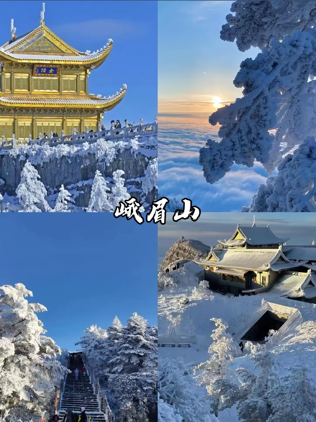 🔥强烈推荐！四川赏雪好去处😍抄作业啦