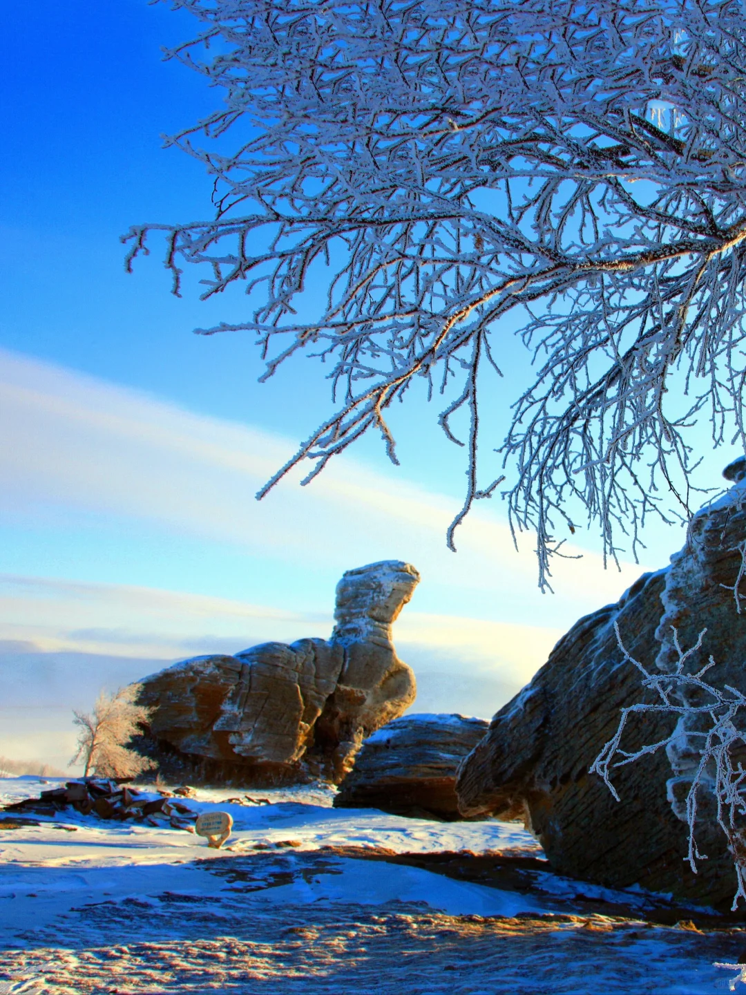 反向旅行❄️冬日赤峰美成磅礴中国画！