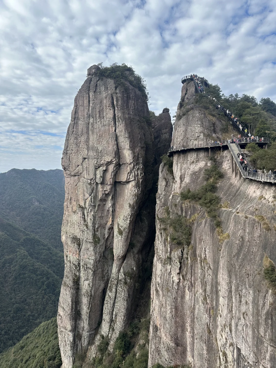 小小神仙居顺利拿下