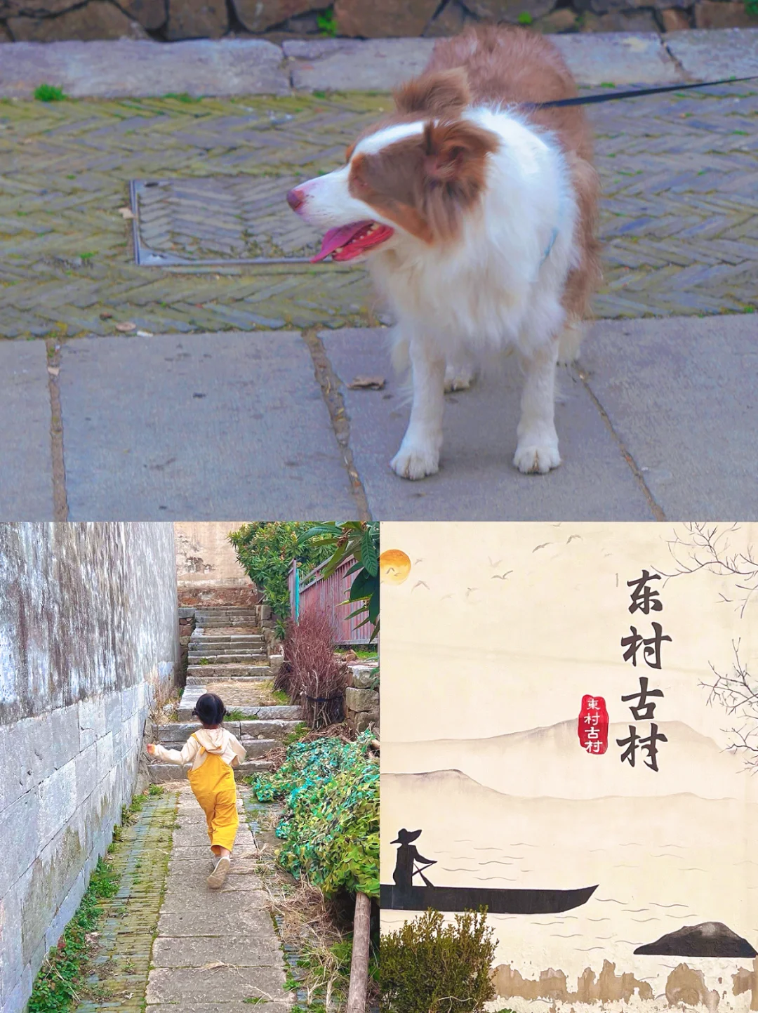 万万没想到，上海自驾1.5h到的小岛会这样