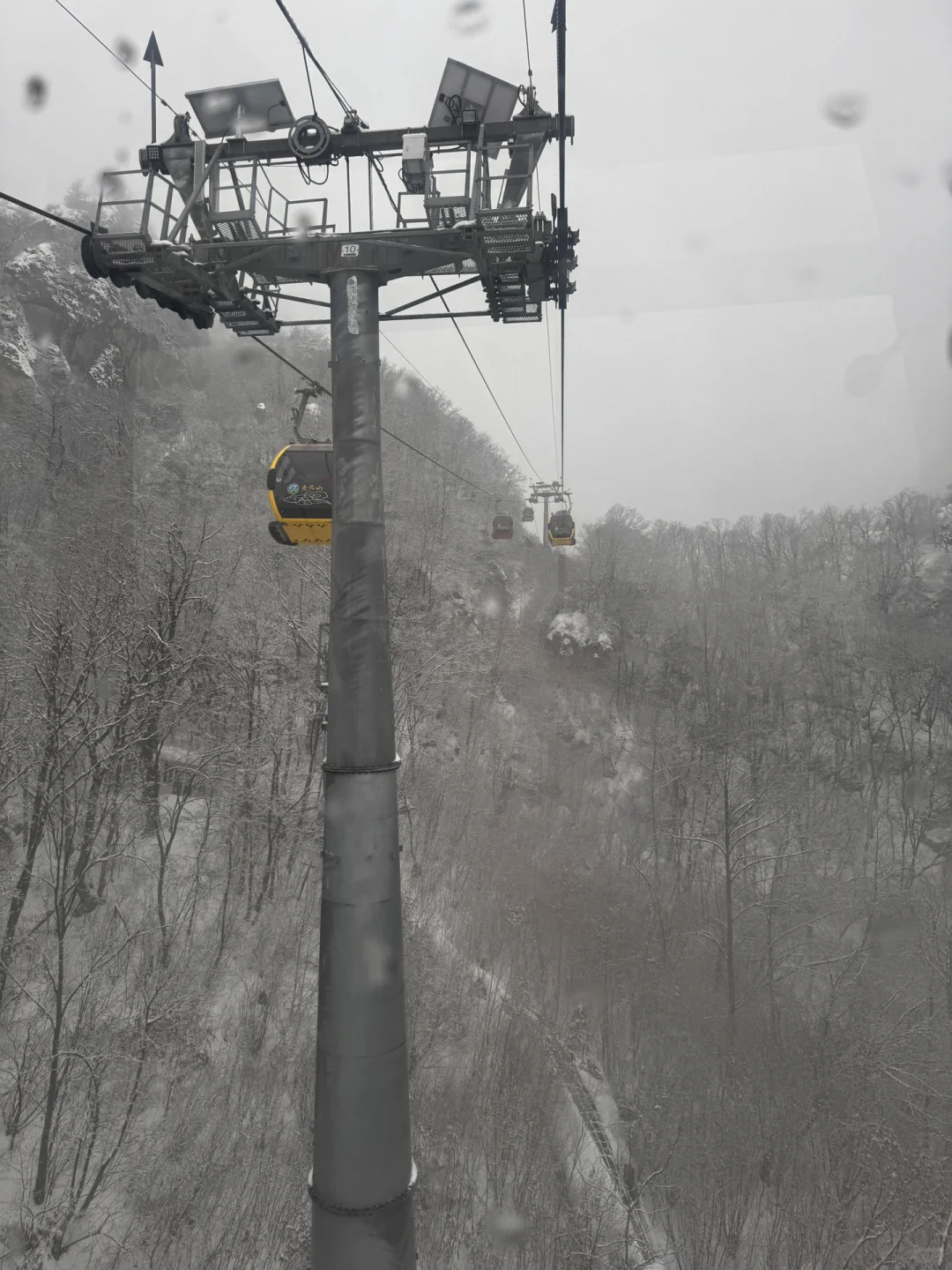 2月1号已到老君山景区，随便问🙋实时更新版