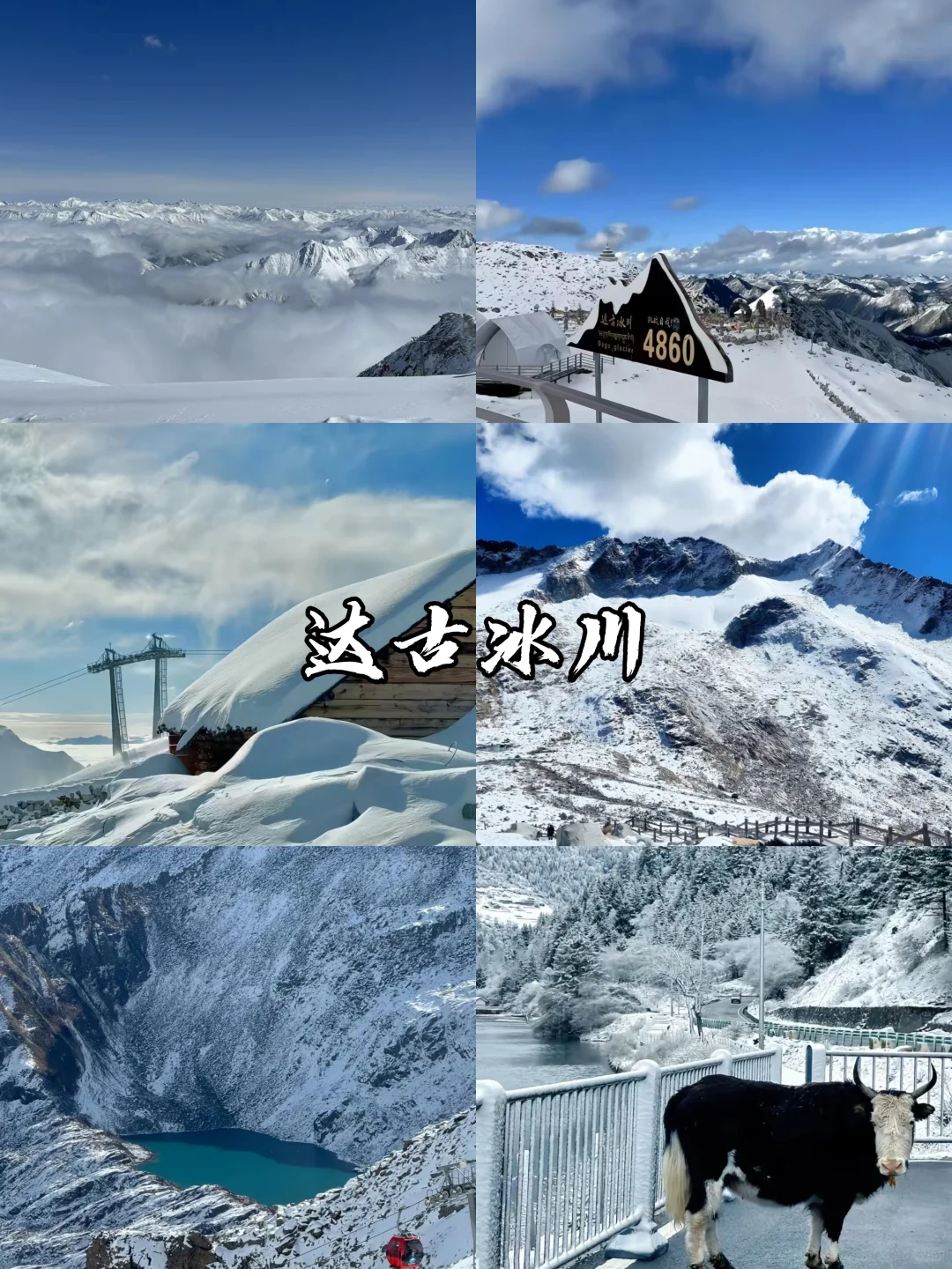 🔥强烈推荐！四川赏雪好去处😍抄作业啦