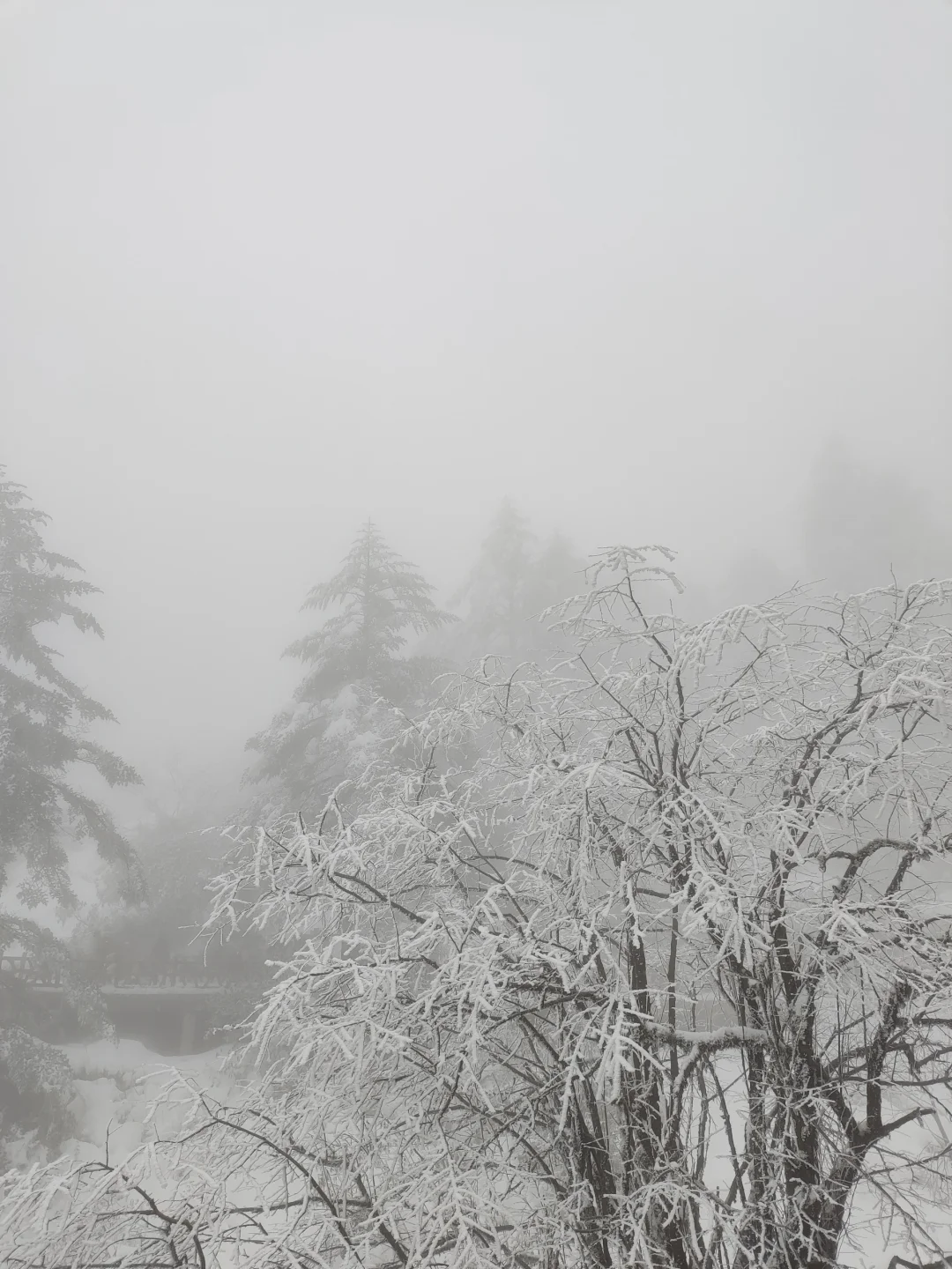 刚从瓦屋山回来，见攻略