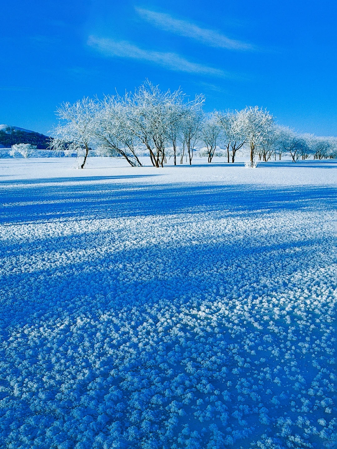 反向旅行❄️冬日赤峰美成磅礴中国画！