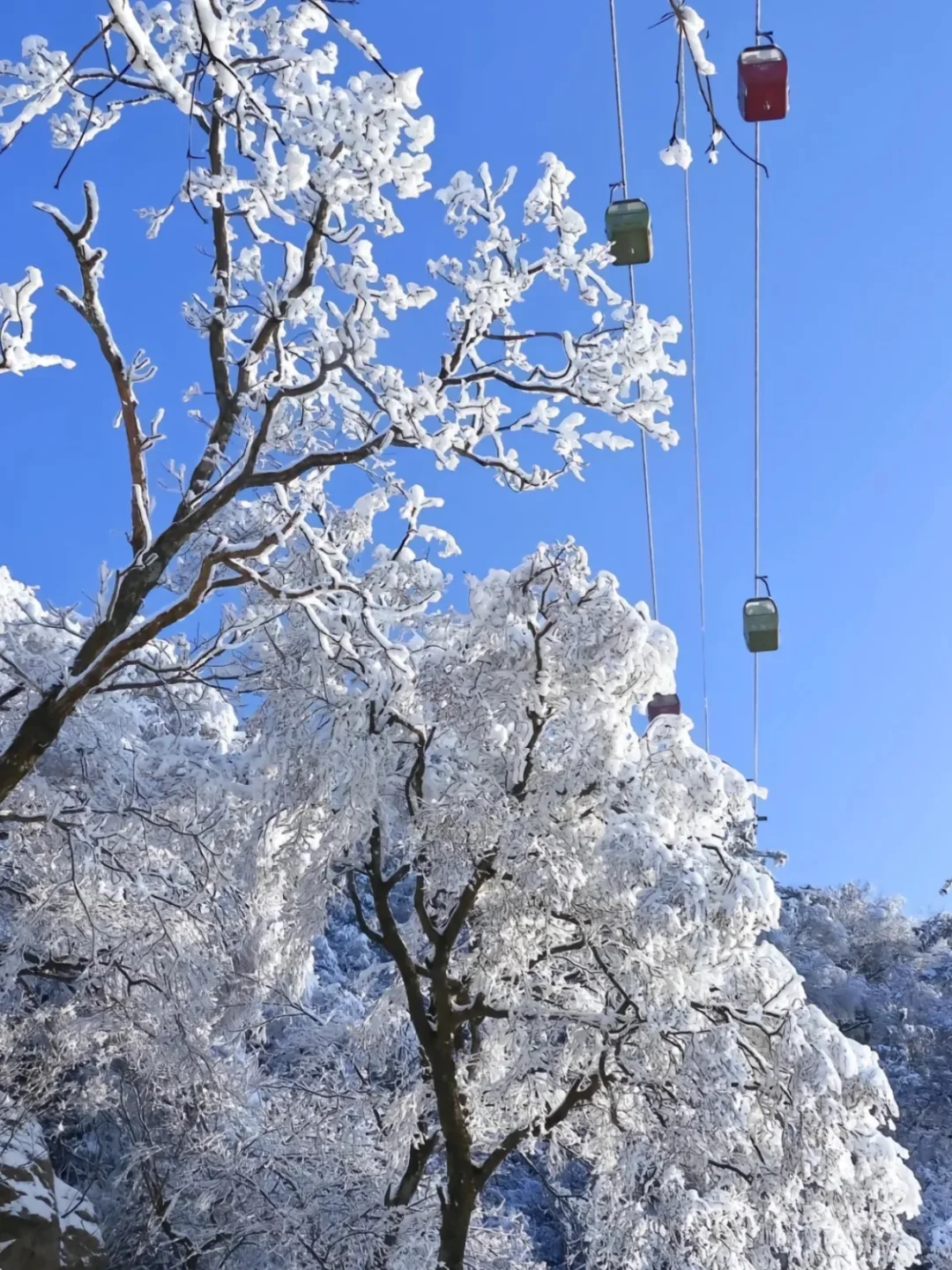 1.28号老君山实况，抵达山顶崩不住了，太美了
