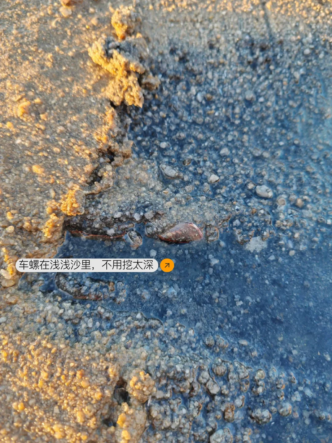 在北海｜土著推荐👏不用向导的赶海地‼️