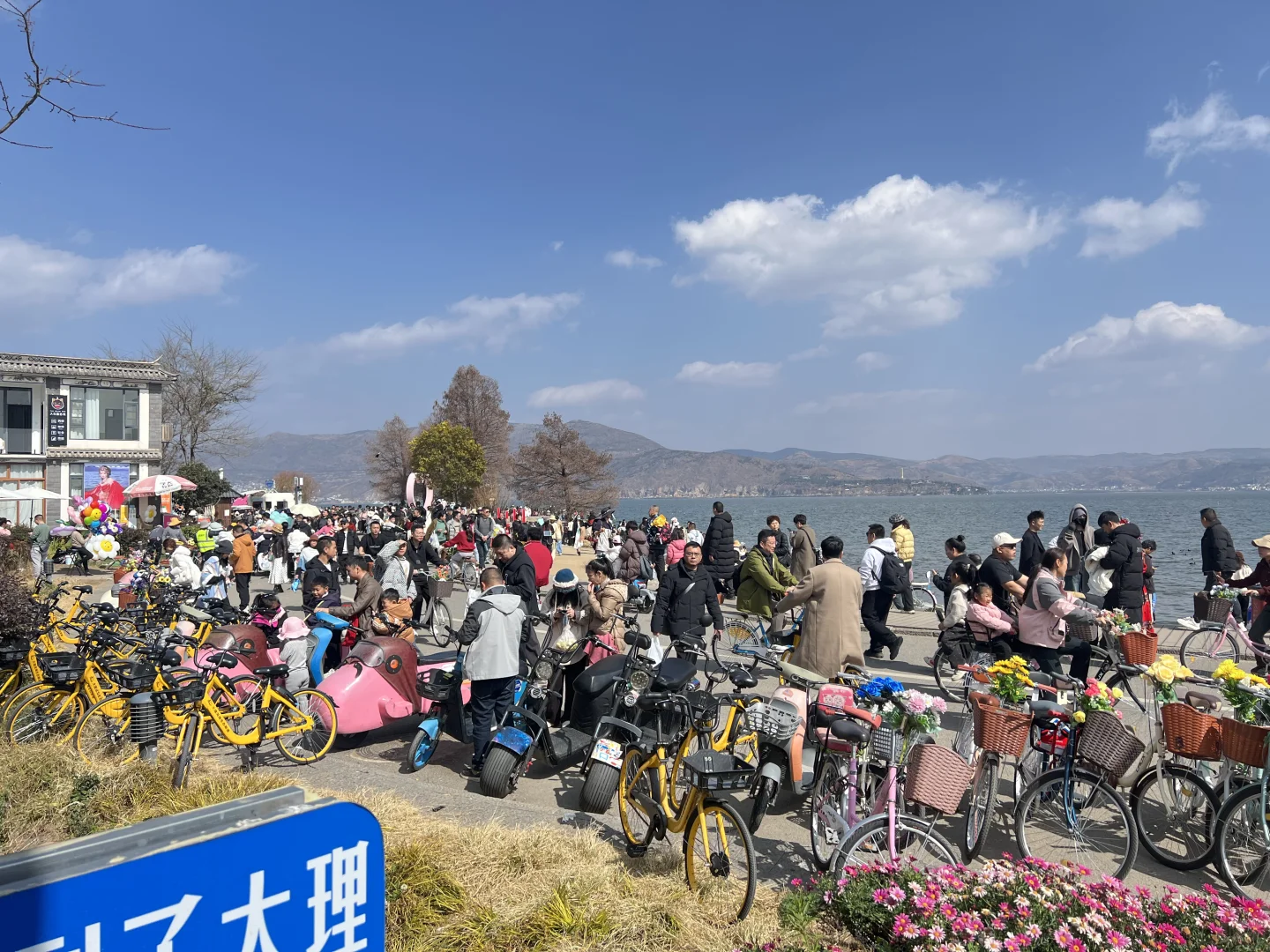 1.31大理实况劝退，网上攻略全没用