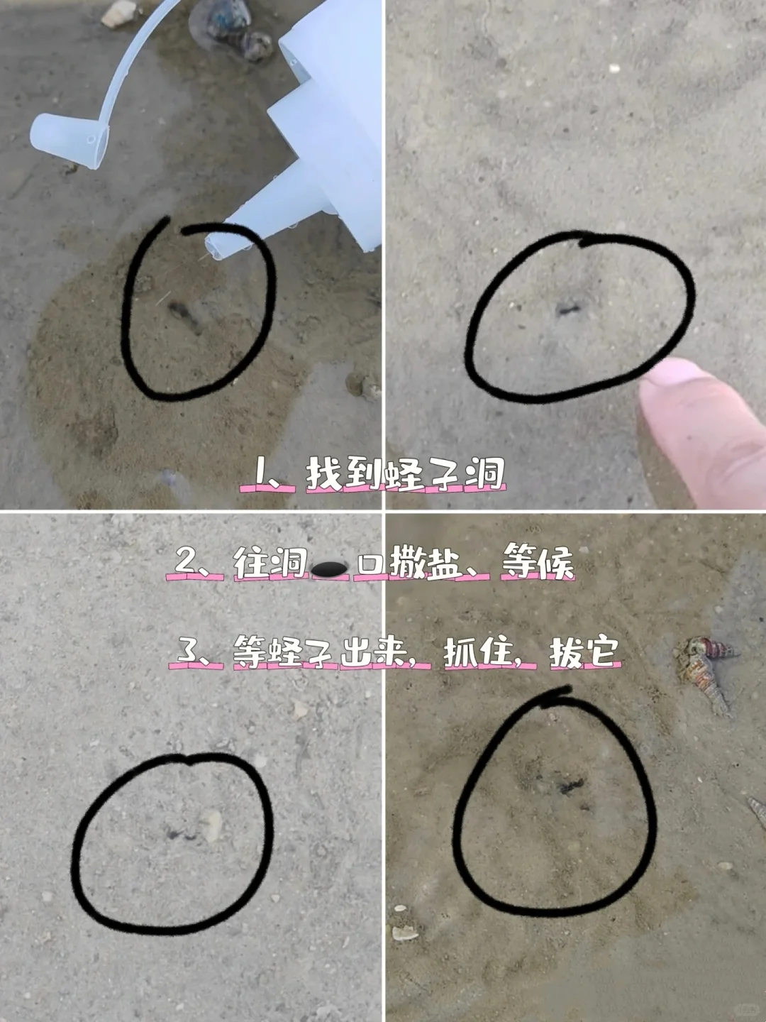 在北海｜土著推荐👏不用向导的赶海地‼️