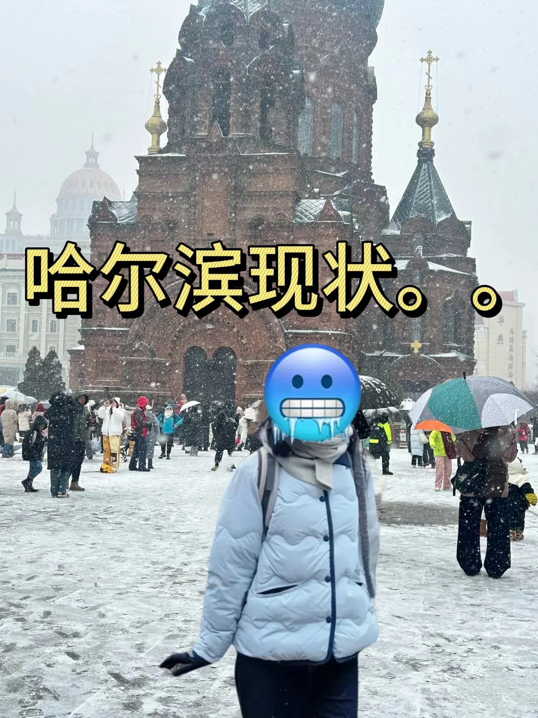 1.29📍哈尔滨已逃，崩溃了😭说点大实话