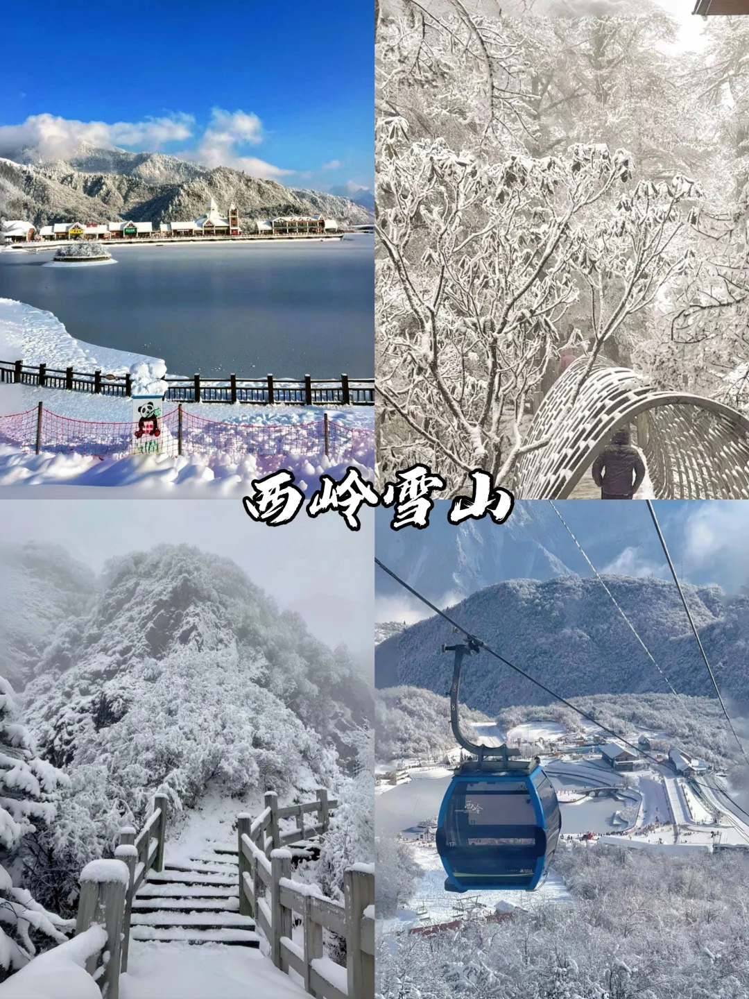 🔥强烈推荐！四川赏雪好去处😍抄作业啦