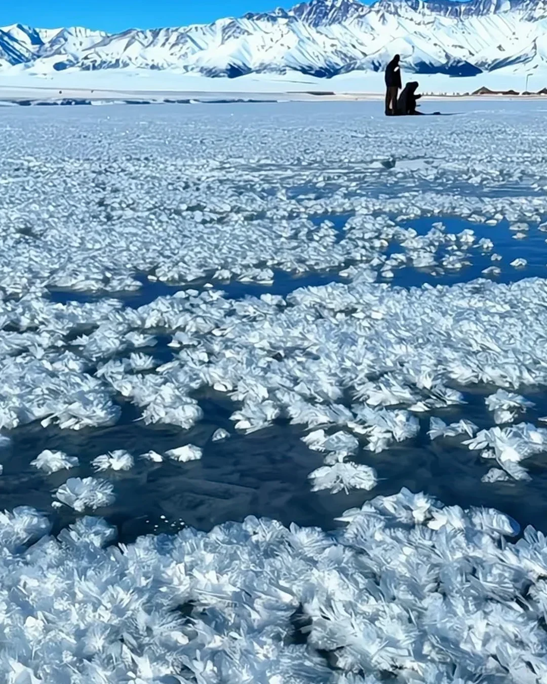 25.2.1赛湖现状，要去旅游的做好思想准备