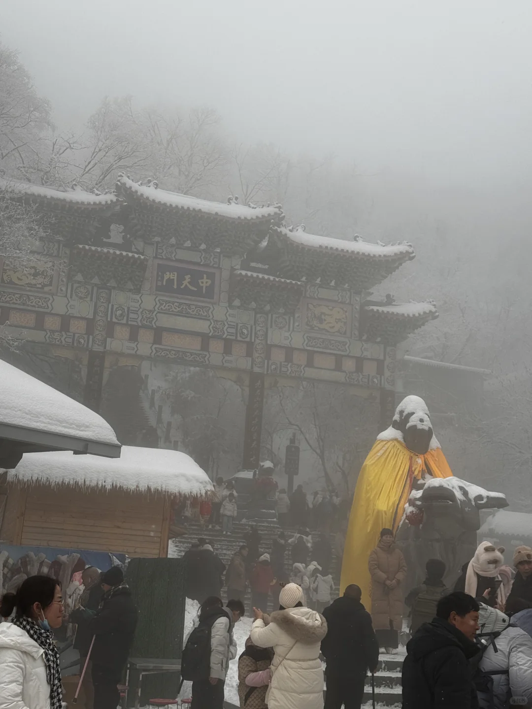 2月1号已到老君山景区，随便问🙋实时更新版