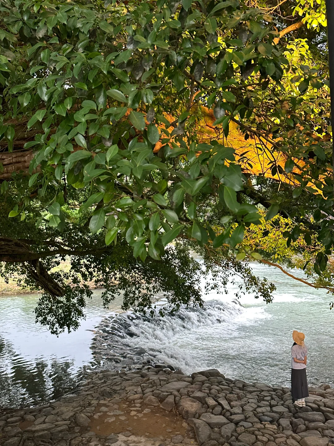 刚从漳州回来。。。说点难听的大实话。。。。