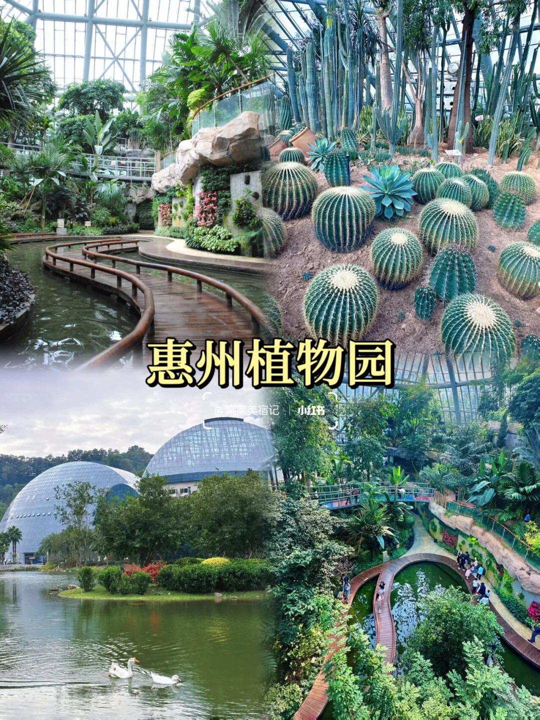 假期好去处｜惠州站📍3天2夜宝藏小城攻略