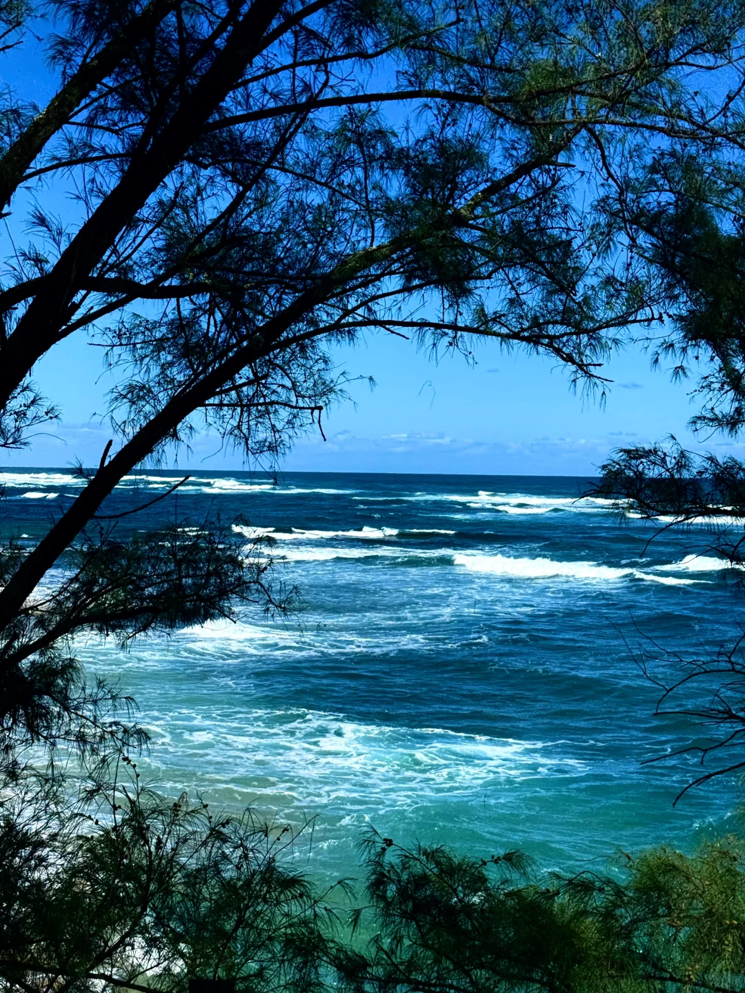 Kauai|在夏威夷每一张都是人生照片🥳