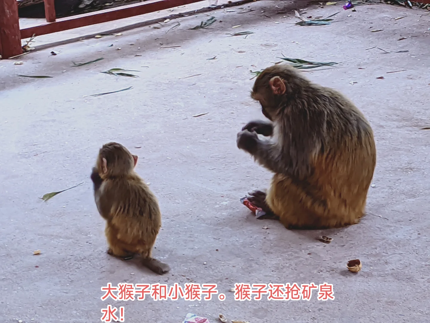 记录西昌一游